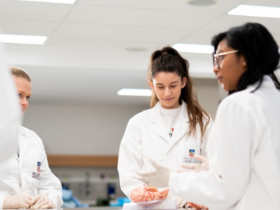 School of Biomedicine